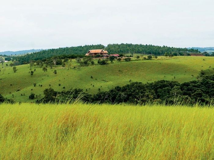 Cao nguyên Mondulkiri với vẻ đẹp hoang sơ của chốn đại ngàn 8