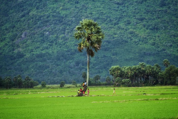 Lang thang Bảy Núi An Giang để tìm lại sự thanh bình của miền quê 4.