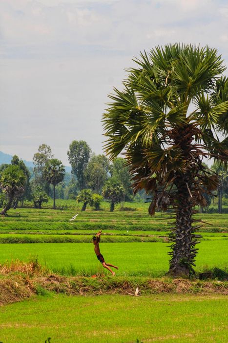 Lang thang Bảy Núi An Giang để tìm về một miền quê thanh bình 7.