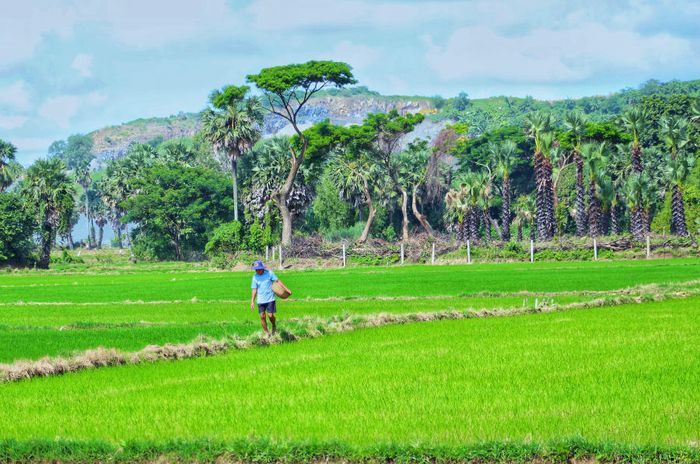 Đi dạo Bảy Núi An Giang để cảm nhận không khí thanh bình của miền quê 5.