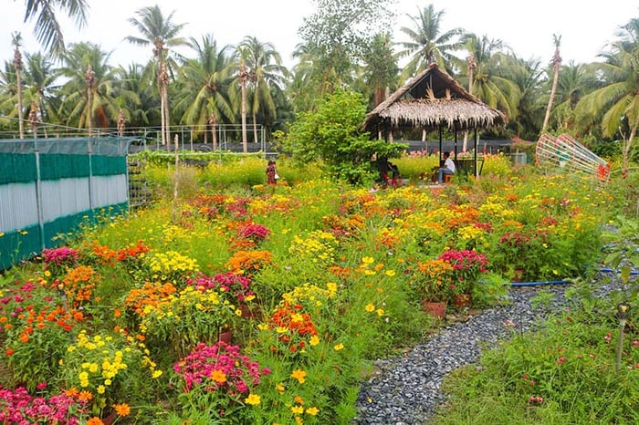 Khu du lịch Hạ Thảo, điểm đến vui chơi tại Bến Tre 7