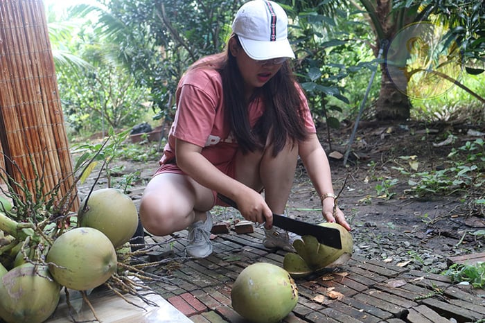 Khu du lịch Hạ Thảo, điểm vui chơi tại Bến Tre 10