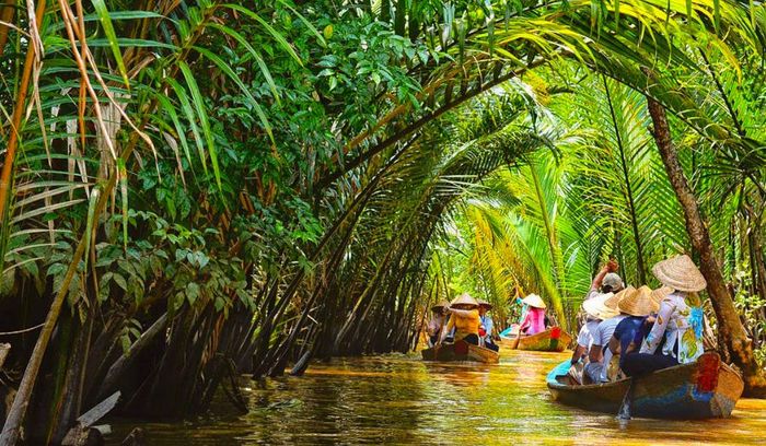 Ghi lại ngay những bí quyết khám phá toàn diện về phía Nam Bến Tre siêu chi tiết 3