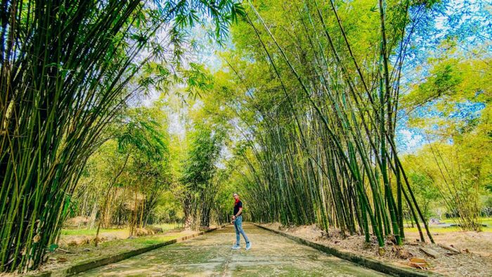 Check-in Làng tre Phú An, điểm sống ảo ngay bên cạnh Sài Gòn 4