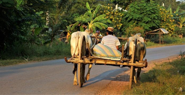 Battambang - nơi yên bình giữa trái tim Campuchia