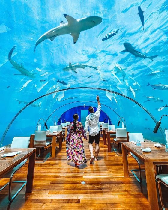 Quốc đảo Maldives có vẻ đẹp đặc biệt thu hút nhiều người