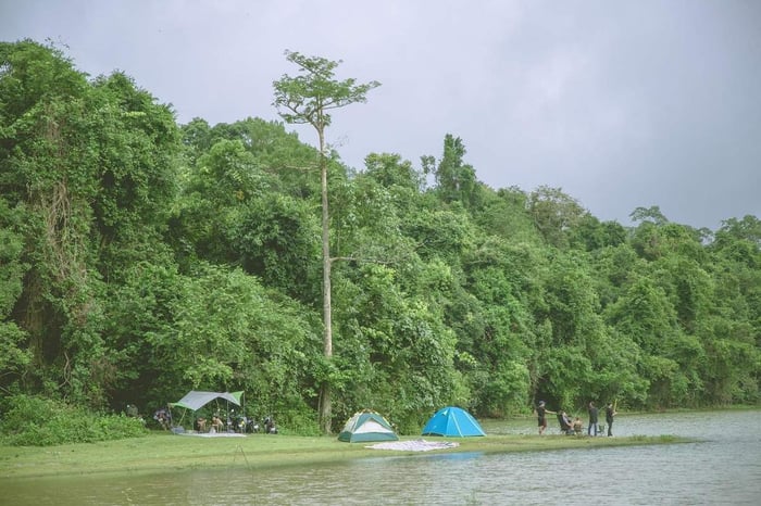 Khám phá Trảng Cỏ Bù Lạch, du hành trong một bức tranh thủy mặc đẹp đến tận đáy lòng