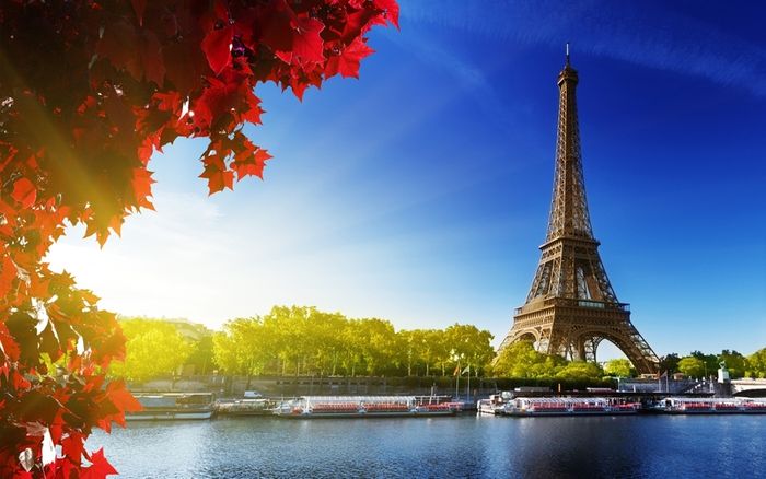 Tháp Eiffel vươn mình nơi Paris lộng lẫy 5