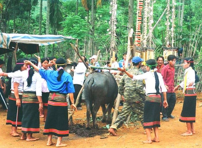 Lễ hội đâm trâu Buôn Ma Thuột và những điều có thể bạn chưa biết 3