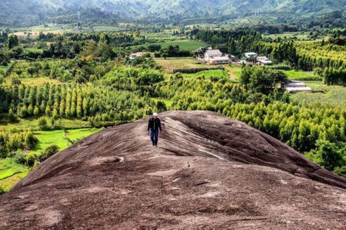 Hãy ghi nhớ hướng dẫn đường đi đến núi Đá Voi Mẹ để di chuyển nhanh chóng và an toàn.