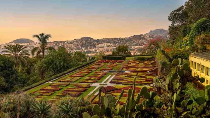 Madeira, nơi yên bình bên bờ Đại Tây Dương