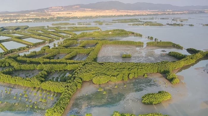 Thắng cảnh Đầm Thị Nại