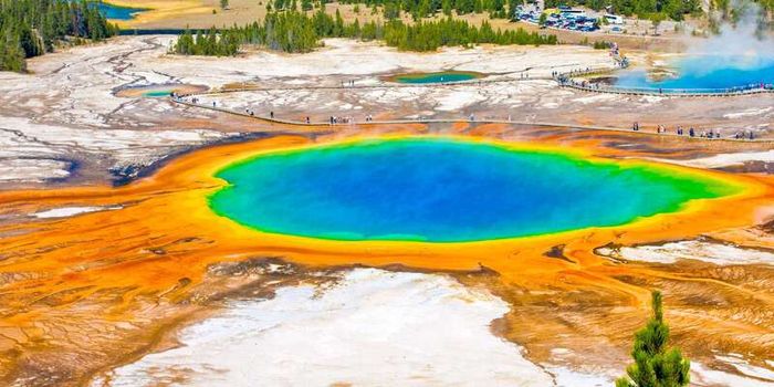 Yellowstone, kỳ quan thiên nhiên lâu đời nhất của Mỹ và thế giới 2