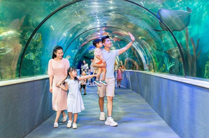 Khám phá thế giới dưới biển tại Vinpearl Aquarium