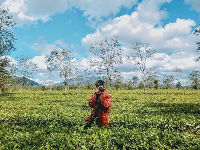 đền Bạch Mã ở Nghệ An 