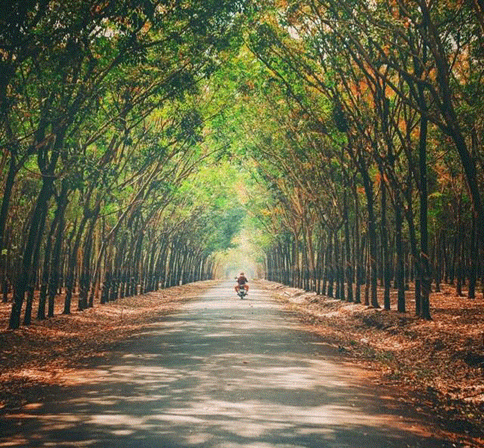 tham quan chùa tây ninh