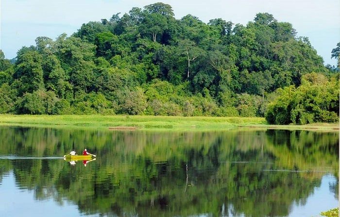 Rừng nguyên sinh trên đảo Phú Quốc 01