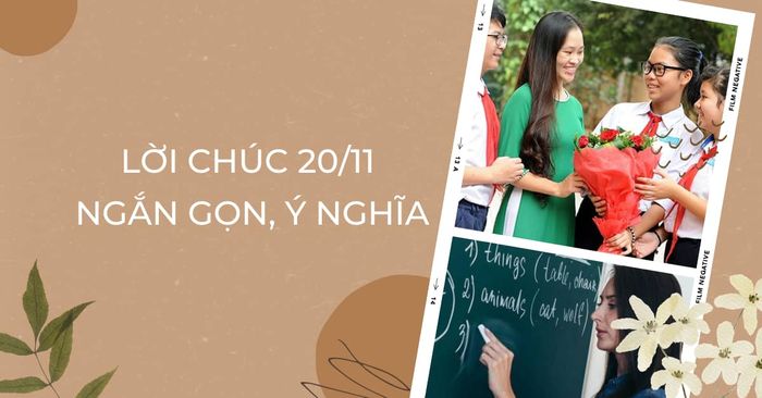 Lời chúc 20/11 ngắn gọn ý nghĩa