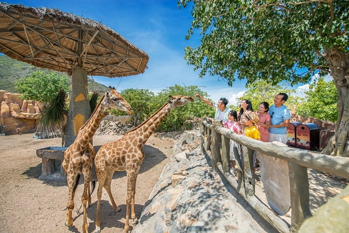 Cuối cùng, hãy chuẩn bị cho bản thân một tâm lý thật thoải mái và sẵn sàng trải nghiệm mọi niềm vui trong hành trình nhé.