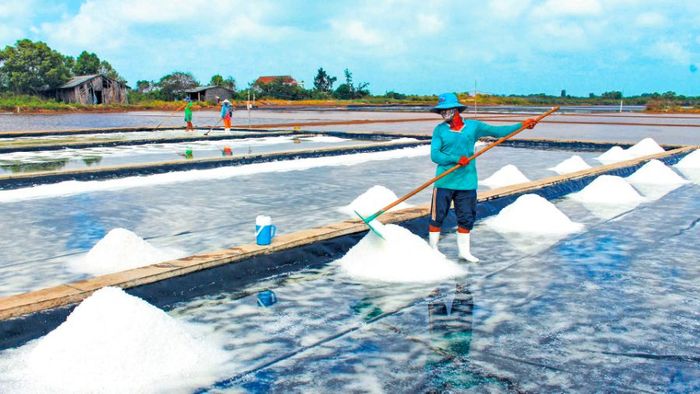 Nghề muối Tân Thuận: Biển khơi trong cuộc sống hàng ngày