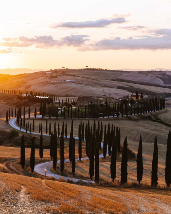 Tuscany, nơi lãng mạn của hoa hồng và rượu vang