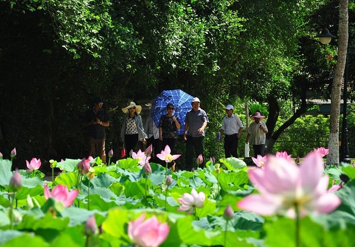 khu di tích lịch sử Kim Liên 