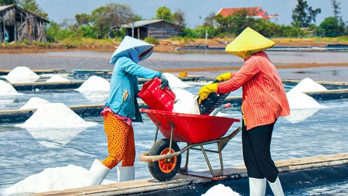 Nghề muối Tân Thuận: Hòa mình với cuộc sống hàng ngày