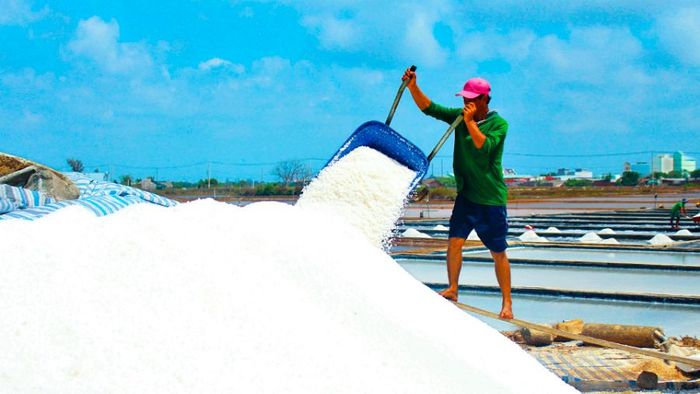 Nghề muối Tân Thuận: Hòa mình với cuộc sống hàng ngày 4