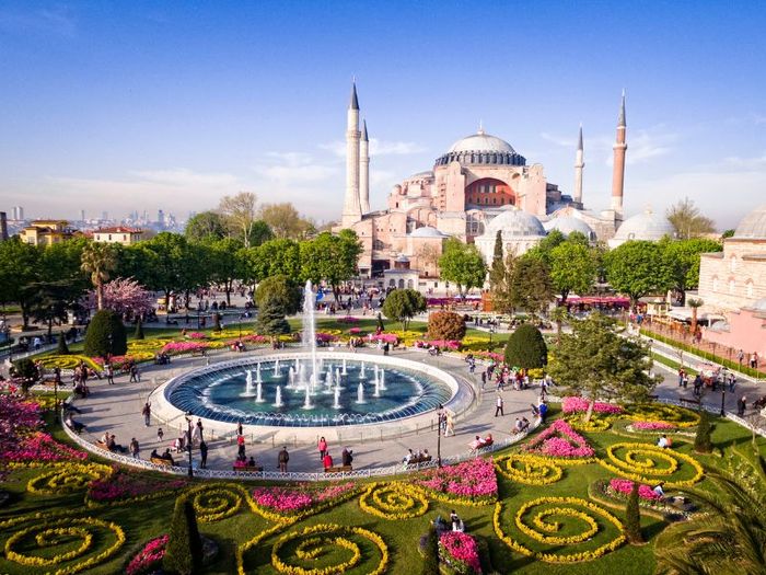 Khám phá Istanbul, vương quốc của những chú mèo 10