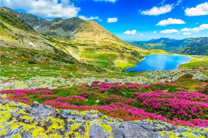 Khám phá di sản văn hóa châu Âu tại Romania 4