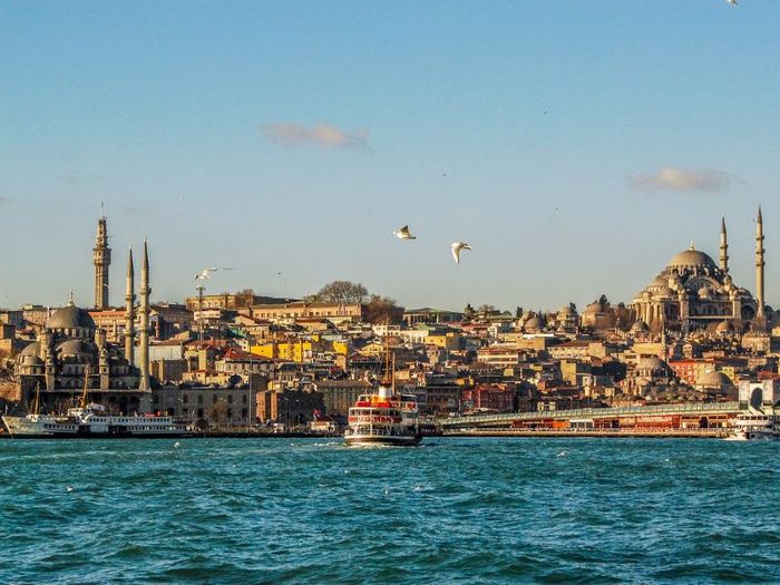 Khám phá Istanbul - vương quốc của những chú mèo 2