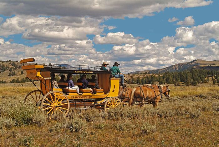 Yellowstone, vườn quốc gia lâu đời nhất Mỹ và thế giới 11