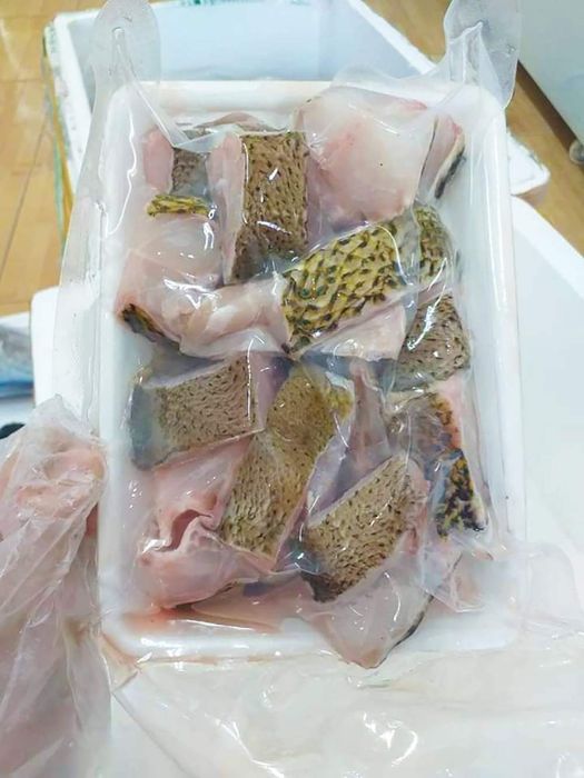 Thưởng thức đặc sản Cá nanh heo Côn Đảo nổi tiếng khắp mọi nơi
