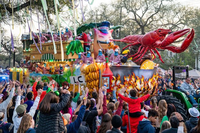 Đắm chìm trong lễ hội Mardi Gras náo nhiệt và đầy thú vị 10