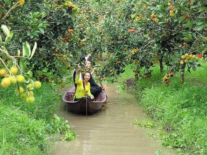 Chợ nổi Cái Răng ở Cần Thơ: Bạn có thể thấy cảnh mua bán sôi động từ sáng sớm đến tối muộn. Các thuyền hàng kéo dài, tiếng nói của người mua bán tạo nên không khí sôi động, náo nhiệt.