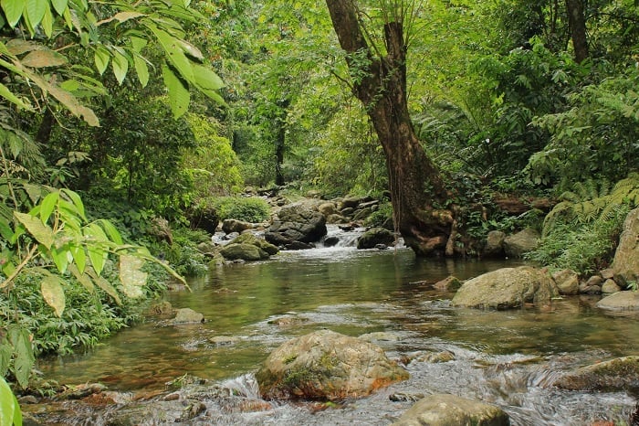 Núi Thiên Nhẫn