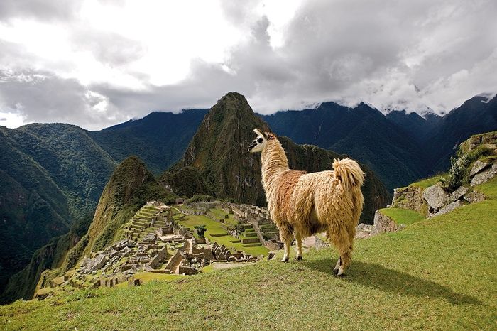 Bí ẩn của Machu Picchu, thành phố đã mất của người Inca 5