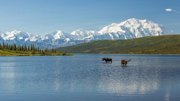 Du lịch Alaska, nơi trải nghiệm đặc biệt 9