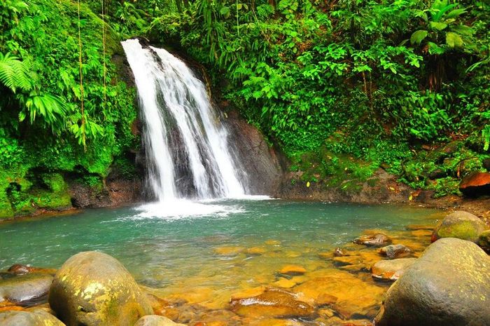 Khám phá hòn ngọc Guadeloupe của vùng Caribe tuyệt sắc 10