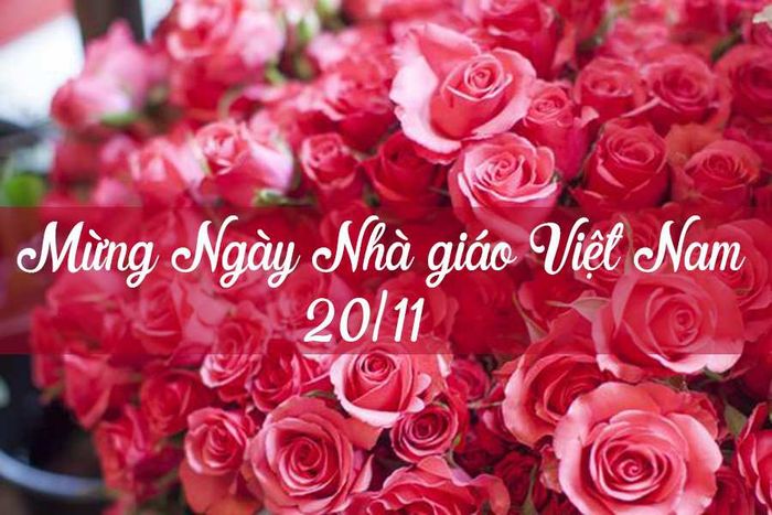 Ý nghĩa của ngày 20/11