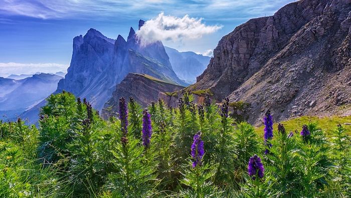 Rặng núi Dolomites - tác phẩm tuyệt vời giữa lòng núi Alps