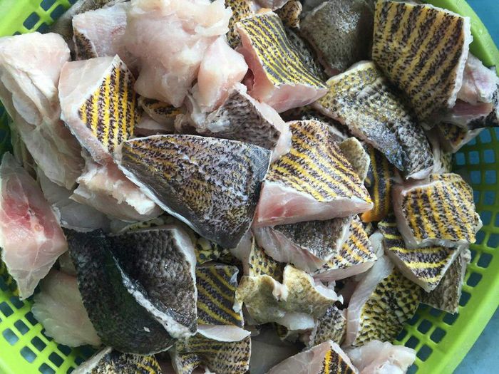 Thưởng thức đặc sản Cá nanh heo Côn Đảo nổi tiếng khắp nơi