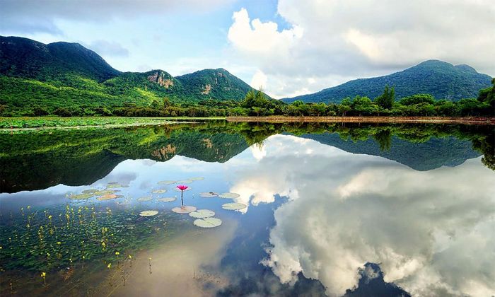 Chiêm ngưỡng vẻ đẹp tự nhiên của Hồ Sen An Hải Côn Đảo
