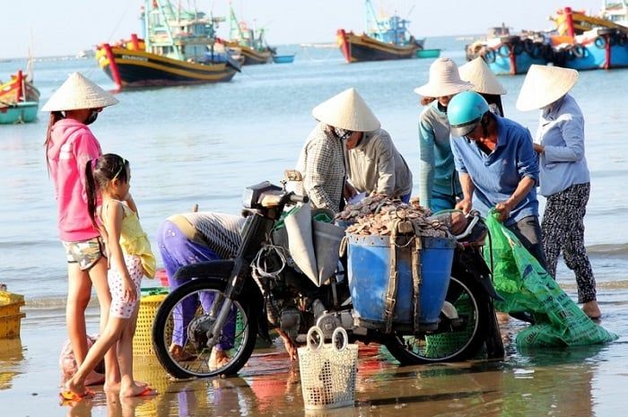 cho hai san da nang 11