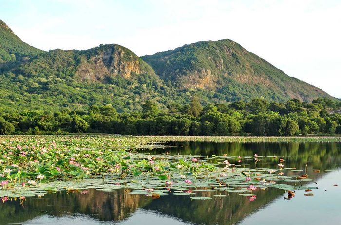 Bí quyết du lịch Côn Đảo trong vài ngày từ A đến Z