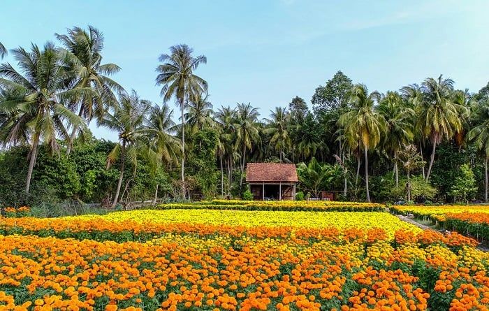 Địa điểm du lịch Cần Thơ