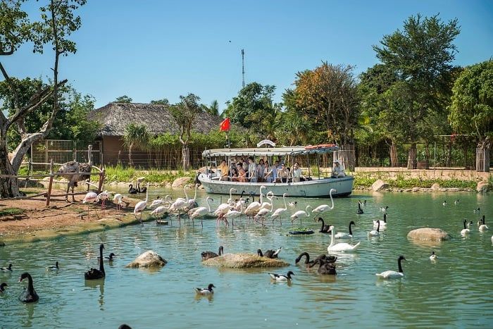 Khám phá thế giới hoang dã bằng thuyền tại River Safari - Đà Nẵng