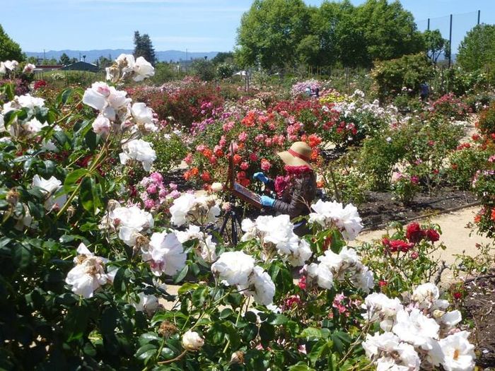 San Jose - Trung tâm công nghệ hàng đầu của bang California Mỹ.