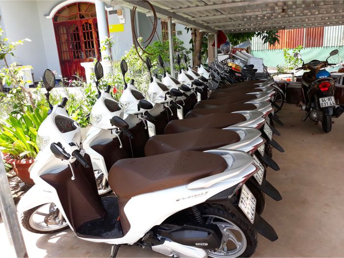 Cập nhật 6 Phương tiện di chuyển ở Côn Đảo phổ biến nhất ngày nay 4