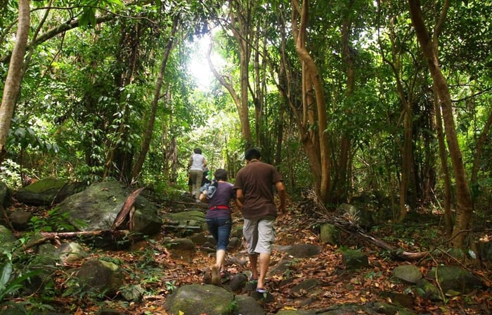 Khám phá thiên nhiên hùng vĩ và thơ mộng của Bãi Ông Đụng Côn Đảo là trải nghiệm đáng nhớ.